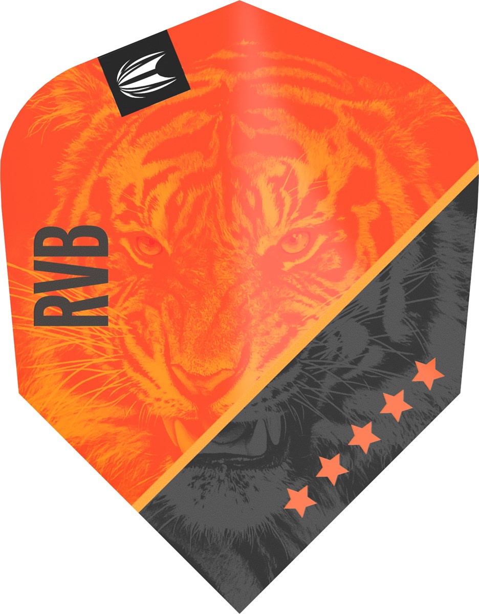 Target Darts Raymond Van Barneveld G4 Ten-X Flight - Standard